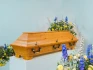 10054_coffin_fullshot.jpg